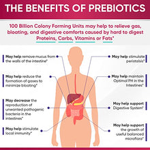 Load image into Gallery viewer, Dr. Formulated Raw Probiotics for Women 100 Billion CFUs with Prebiotics, Digestive Enzymes, Approved Women's Probiotic for Adults, Shelf Stable Probiotic Supplement Capsules