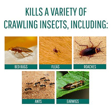 Load image into Gallery viewer, Safer 51703 Diatomaceous Earth-Bed Bug Flea, Ant, Crawling Insect Killer 4 Lb