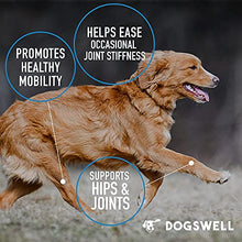Load image into Gallery viewer, DOGSWELL Hip and Joint Supplement for Dogs - Soft Chews with Glucosamine, Chondroitin, MSM, Boswellia & Turmeric, 1 Pound