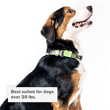 Load image into Gallery viewer, Whistle GO/GO Explore/Twist & Go Pet Collars/See Me Green/Large-XL