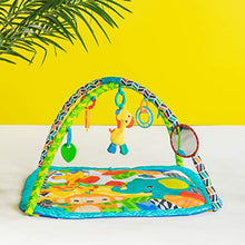 Load image into Gallery viewer, Bright Starts Zippy Zoo Activity Gym
