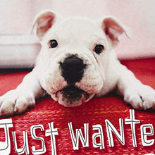 Load image into Gallery viewer, Hallmark Pack of Valentines Day Cards for Kids, Puppy Paws (6 Valentine's Day Cards with Envelopes)