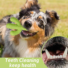 Load image into Gallery viewer, MewaJump Dog Chew Toys, Durable Rubber Dog Toys for Aggressive Chewers, Cactus Tough Toys for Training and Cleaning Teeth, Interactive Dog Toys for Small/Medium Dog