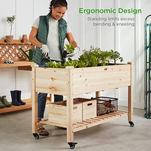 Load image into Gallery viewer, Best Choice Products Raised Garden Bed 48x24x32-inch Mobile Elevated Wood Planter w/Lockable Wheels, Storage Shelf, Protective Liner