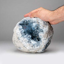 Load image into Gallery viewer, Astro Gallery of Gems Blue Celestite Cluster Geode from Sankoany, Ketsepy Mahajanga, Madagascar (20 lbs) - BC57