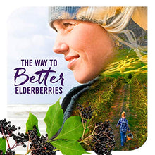 Load image into Gallery viewer, Nature's Way Original Sambucus Elderberry Lozenges with Vitamin C, Gluten Free, Vegetarian, 30 Count