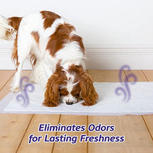 Load image into Gallery viewer, Hartz Home Protection Odor Eliminating Scented Dog Pads, Super Absorbent & Won’t Leak, Lavender Scent, 3XL Size Pads, 60 Count