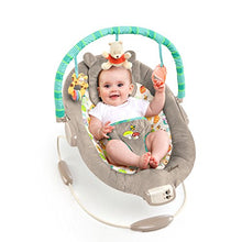 Load image into Gallery viewer, Disney Baby Winnie The Pooh Bouncer, Dots and Hunny Pots