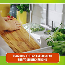 Load image into Gallery viewer, CLR Fresh & Clean Garbage Disposal, Fresh Scent Weekly Foaming Cleaning Pods, 5 Pods Total (Packaging May Vary)