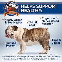 Load image into Gallery viewer, Grizzly All-Natural Wild Caught Alaskan Salmon Oil Dog Food Supplement | Balanced Blend of Omega-3 Fatty Acids | Medical Grade Pump for Exact, No-Spill Dose (32 oz)