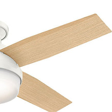 Load image into Gallery viewer, Hunter Dempsey Indoor Low Profile Ceiling Fan with LED Light and Remote Control, 44", White