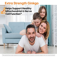 Load image into Gallery viewer, Doctor's Best Extra Strength Ginkgo, Non-GMO, Vegan, Gluten Free, Soy Free, Promotes Mental Function and Memory, 120 mg, 360 Count (Pack of 1)