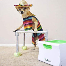 Load image into Gallery viewer, IDOGMATE Small Interactive Ball Launcher with Rechargeable, Automatic Dog Ball Thrower for Mini Dog (Small Machine with 3 Balls)