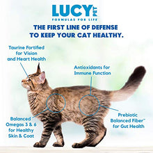 Load image into Gallery viewer, Lucy Pet Products Formulas for Life - Sensitive Stomach & Skin Dry Cat Food, All Breeds & Life Stages - Salmon, Pumpkin, & Quinoa, 4 LB Bag