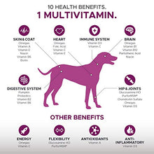 Load image into Gallery viewer, PetHonesty 10 in 1 Dog Multivitamin with Glucosamine - Essential Dog Vitamins with Glucosamine Chondroitin, Probiotics and Omega Fish Oil for Dogs Overall Health - (Chicken)