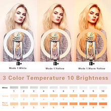 Load image into Gallery viewer, LED Ring Light 10" with Tripod Stand & Phone Holder for Live Streaming & YouTube Video, Dimmable Desk Makeup Ring Light for Photography, Shooting with 3 Light Modes & 10 Brightness Level