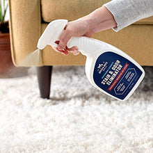 Load image into Gallery viewer, Rocco & Roxie Supply Professional Strength Stain and Odor Eliminator, Enzyme-Powered Pet Odor and Stain Remover for Dogs and Cat Urine, Spot Carpet Cleaner for Small Animal, 32 oz.
