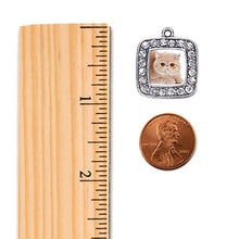 Load image into Gallery viewer, Inspired Silver - Persian Cat Charm Earrings for Women - Silver Square Charm French Hook Drop Earrings with Cubic Zirconia Jewelry