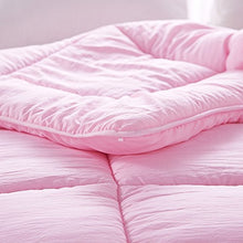 Load image into Gallery viewer, NATURETY All Season Soft Down Alternative Quilted Comforter,Lightweight Duvet Insert (Queen/Full, Pink)