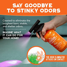 Load image into Gallery viewer, ANGRY ORANGE Pet Odor Eliminator for Strong Odor - Citrus Deodorizer for Dog Urine Smells on Carpet, Furniture & Floors - Puppy Supplies (24 Fl Oz + UV Flashlight)