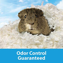 Load image into Gallery viewer, Kaytee Clean & Cozy White Bedding For Pet Guinea Pigs, Rabbits, Hamsters, Gerbils, and Chinchillas SIOC, 2/50 Liters