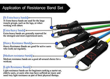 Load image into Gallery viewer, TheFitLife Exercise Resistance Bands with Handles - 5 Fitness Workout Bands Stackable up to 110 lbs, Training Tubes with Large Handles, Ankle Straps, Door Anchor Attachment, Carry Bag and Bonus eBook