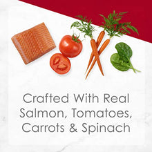 Load image into Gallery viewer, Purina Fancy Feast Wet Cat Food, Medleys Wild Salmon Primavera With Garden Veggies & Greens in Sauce - (24) 3 oz. Cans
