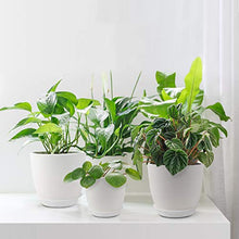 Load image into Gallery viewer, Plastic Planter, HOMENOTE 7/6/5.5/4.8/4.5 Inch Flower Pot Indoor Modern Decorative Plastic Pots for Plants with Drainage Hole and Tray for All House Plants, Succulents, Flowers, and Cactus, White