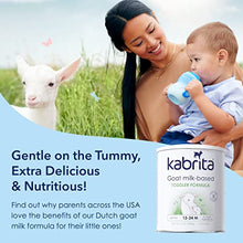 Load image into Gallery viewer, Kabrita Goat Milk Toddler Formula, 14 Ounce (Pack of 1)