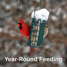 Load image into Gallery viewer, Blue Seal Cherry Bird Suet Cake | No Mess Wild Bird Suet | 11 oz (12 Pack)