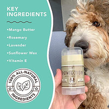 Load image into Gallery viewer, Natural Dog Company PawTection Bundle, Includes 2oz Stick + 0.15oz Stick, Protects Dog Paws from Heat, Salt, Snow, Prevents Paw Damage, Organic, All Natural Ingredients