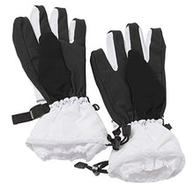 Load image into Gallery viewer, Aeromax Astronaut Gloves, size Large, White, with NASA patches, (ASG-Lrg)