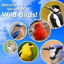 Load image into Gallery viewer, Blue Seal Premium Songbird Treat Wild Bird Bar - Variety 6 Pack