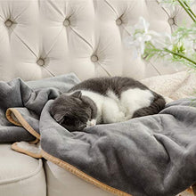 Load image into Gallery viewer, Bedsure Waterproof Dog Blankets for Small Dogs - Small Cat Blanket Washable for Couch Protection- Sherpa Fleece Puppy Blanket, Soft Plush Reversible Throw Furniture Protector, 25"X35", Grey