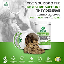 Load image into Gallery viewer, Doggie Dailies Probiotics for Dogs, 225 Soft Chews, Advanced Dog Probiotics with Prebiotics, Promotes Digestive Health, Supports Immune System and Overall Health (Pumpkin)