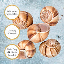 Load image into Gallery viewer, Roland Foods Extra Large Snail Shells, Specialty Imported Food, 36 Count Bag