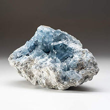Load image into Gallery viewer, Astro Gallery of Gems Blue Celestite Cluster Geode from Sankoany, Ketsepy Mahajanga, Madagascar (3.8 lbs) - BC67