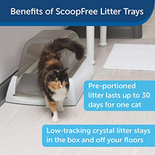 Load image into Gallery viewer, PetSafe ScoopFree Ultra Self-Cleaning Cat Litter Box – Automatic with Disposable Tray – Taupe Covered