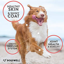 Load image into Gallery viewer, DOGSWELL Wild Alaskan Salmon Oil, 32 Ounces - Omega 3 Supplements for Dogs