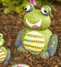 Load image into Gallery viewer, DIY Paint a Rock Pet Kit - Set of 6 (3 Frogs and 3 Turtles) - Children's Arts and Crafts - Includes Weather Resistant Paints and Paintbrush - Indoor Bedroom or Outdoor Yard and Garden Display - 1.25'' - 5.75'' H