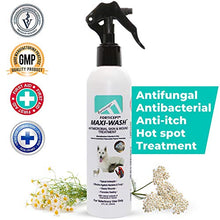 Load image into Gallery viewer, Forticept Maxi-Wash Antiseptic Antifungal Antibacterial Medicated Itch Relief Hot Spot Spray for Dogs & Cats|First Aid Skin and Paw Cleanser | Wounds Treatment 8 oz