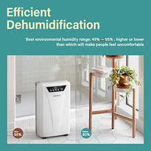 Load image into Gallery viewer, Kesnos 2500 Sq. Ft Dehumidifier for Home and Basements with Drain Hose, Water Tank, Timer, Auto Defrost