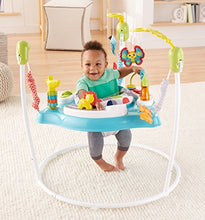 Load image into Gallery viewer, Fisher-Price Color Climbers Jumperoo