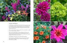 Load image into Gallery viewer, Containers in the Garden