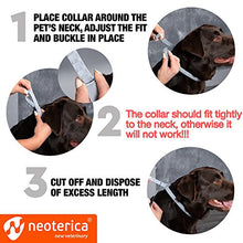 Load image into Gallery viewer, Rolf Club Flea & Tick Collar for Dogs with 3D Level Protect | 6 Months Prevention & Waterproof Repellent | Knockdown Effect Kills Ticks Before Bite | Safe Treatment Control | For Dogs Up to 65 Lb