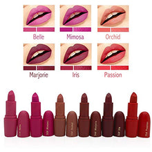 Load image into Gallery viewer, Miss Rose Long-lasting Matte Lipstick Set, 12 PCS Multi Colored featuring full-pigment lip color with a smooth, ultra-matte finish in 12 shades