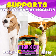Load image into Gallery viewer, Advanced Glucosamine for Dogs Hip and Joint Supplement - Arthritis & Joint Support for Dogs with Glucosamine, Chondroitin, MSM - Effective Hip and Joint Chews for Large & Small Dogs with Pain Relief