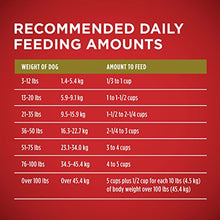 Load image into Gallery viewer, Purina ONE Natural Dry Dog Food, SmartBlend Lamb & Rice Formula - 31.1 lb. Bag