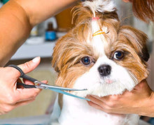 Load image into Gallery viewer, Pets First #1 Pet Grooming Scissors Body & Facial Trimmer Durable Stainless Steel Blades. Rounded Tips Shears for Long Medium Short Thick Wiry Curly Hair. Lightweight Cutter for Dogs & Cats. Set of 2
