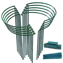 Load image into Gallery viewer, 10pack Garden Plant Support Stake 10" Wide x 16" High Half Round Metal Garden Plant Support Ring Border Support, Plant Support Ring Cage for RoseFlowers Vine Tomato with 20pack Plant Clips &Plant Ties